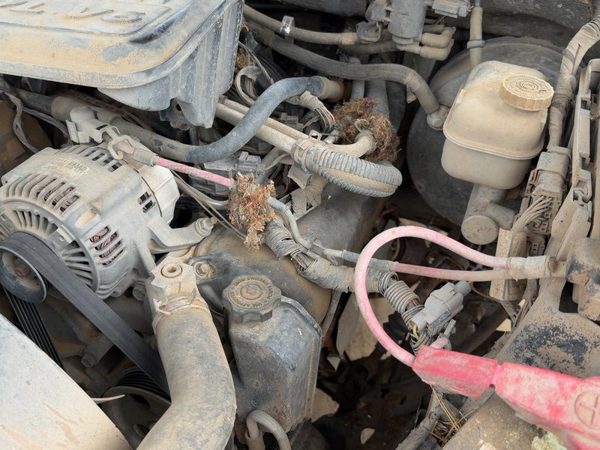 2004-2011 Dodge Dakota Driver Left Valve Cover Oem 3.7L 53021937Ac — photo 4