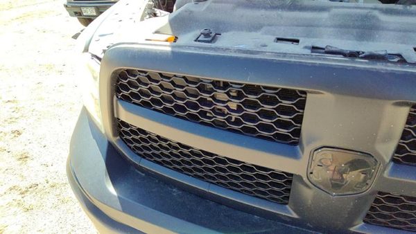 2016 Ram 1500 Grille Dodge White PW7 Cracked — photo 7