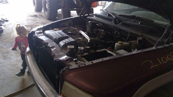 2000 Dodge Dakota — vehicle photo 3