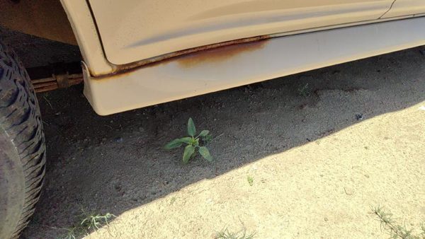91-94 Ford Explorer Passenger Right Lower Rocker Panel Moulding Side Skirt Oem — photo 10