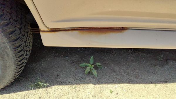 91-94 Ford Explorer Passenger Right Lower Rocker Panel Moulding Side Skirt Oem — photo 9