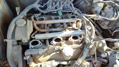 1998-1999 Buick Century Lower Intake Manifold Oem 3.1L 24506263