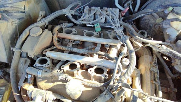 1998-1999 Buick Century Lower Intake Manifold Oem 3.1L 24506263 — photo 3