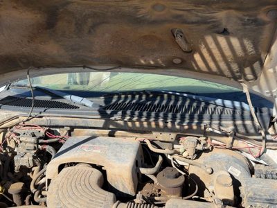 1998 Lincoln Navigator Cowl Vent Panel/screen