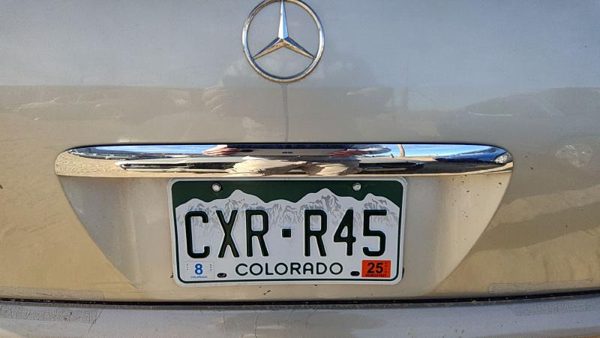 1998-2005 Mercedes Ml350 License Plate Trim Surround Panel Oem Tail Trunk Finish — photo 2