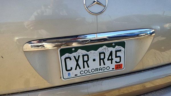 1998-2005 Mercedes Ml350 License Plate Trim Surround Panel Oem Tail Trunk Finish — photo 3