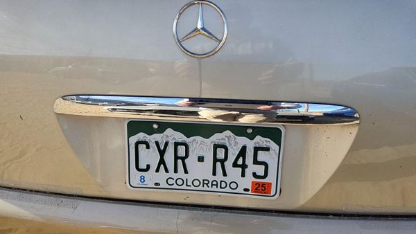 1998-2005 Mercedes Ml350 License Plate Trim Surround Panel Oem Tail Trunk Finish — photo 1