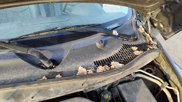 06-11 Chevy Hhr Windshield Wiper Cowl Vent Trim Panel Oem Cover — photo 5