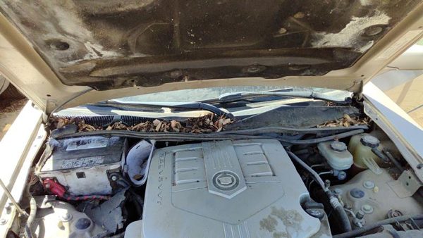 2003-2007 Cadillac Cts Windshield Wiper Cowl Vent Trim Panel Oem Cover — photo 1