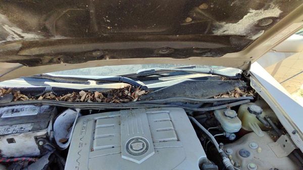 2003-2007 Cadillac Cts Windshield Wiper Cowl Vent Trim Panel Oem Cover — photo 2