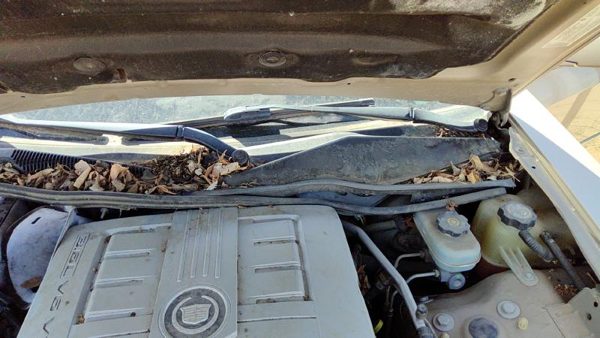 2003-2007 Cadillac Cts Windshield Wiper Cowl Vent Trim Panel Oem Cover — photo 3