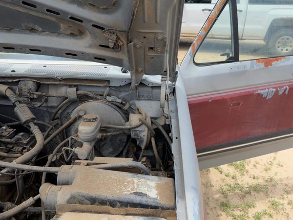 1980-1996 Ford F150 Pair Of Hood Hinges Right Left Set Assembly Oem Silver — photo 4