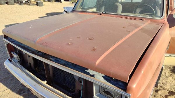 1983 Chevy Pickup 30 Hood Hail — photo 1