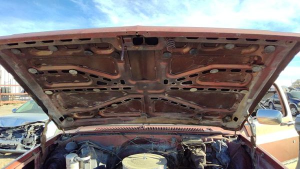 1983 Chevy Pickup 30 Hood Hail — photo 5