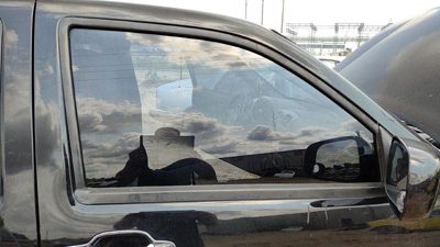 2004-2012 Gmc Canyon Passenger Right Front Side Window Door Glass Oem 97247738