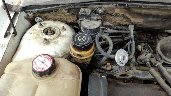 2000 01 Focus Station Wagon Power Steering Fluid Remote Reservoir Tank 2.0L Dohc — photo 1