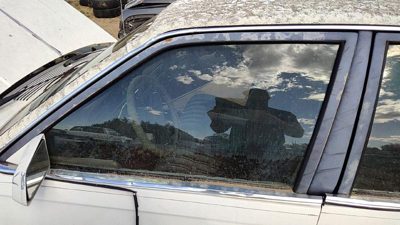 1982-1989 Olds Ciera Driver Left Front Side Window Door Glass Oem 20643722