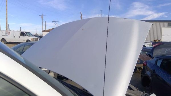 2005 Suburban 1500 Hood White 50U — photo 4