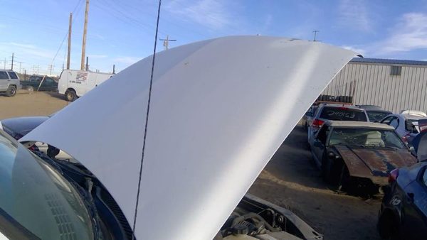 2005 Suburban 1500 Hood White 50U — photo 1