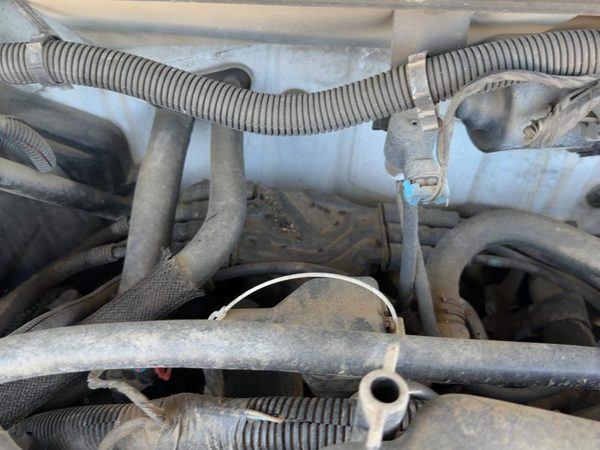 2001 Chevy S10 Blazer Ignition Distributor OEM 4.3L V6 Automatic 12598210 — photo 4