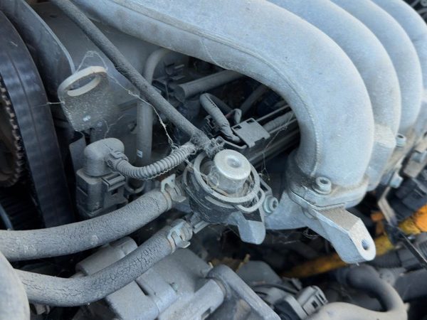 2002 Vw Jetta Wiring Pigtail Set For Fuel Injectors 2.0L — photo 7