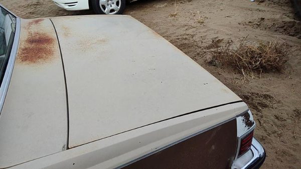 1978-1983 Chevy Malibu Trunk Lid Oem Deck Lid Tan 20264547 — photo 3