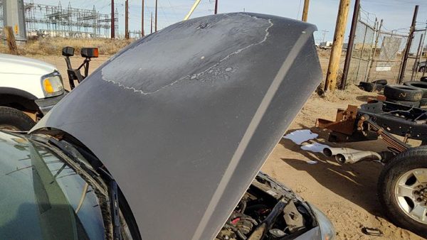 2006 Chevrolet Impala Hood Bronze 53U — photo 2
