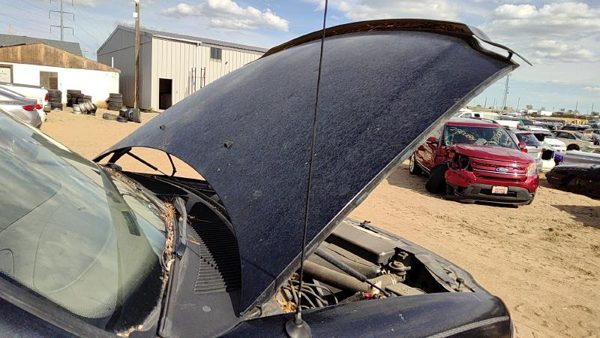 1997 Ford F-150 Hood Black Ua — photo 1