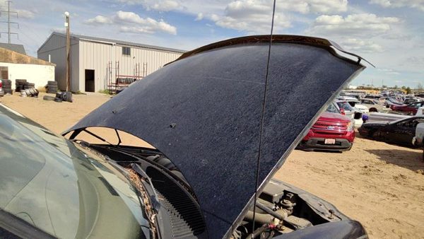 1997 Ford F-150 Hood Black Ua — photo 3