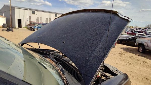 1997 Ford F-150 Hood Black Ua — photo 5
