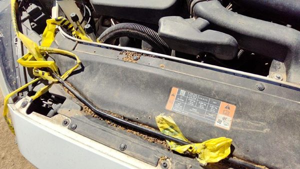 2013-2016 Ford Fusion Top Plastic Cover Above Radiator Support Sight Shield Oem — photo 4