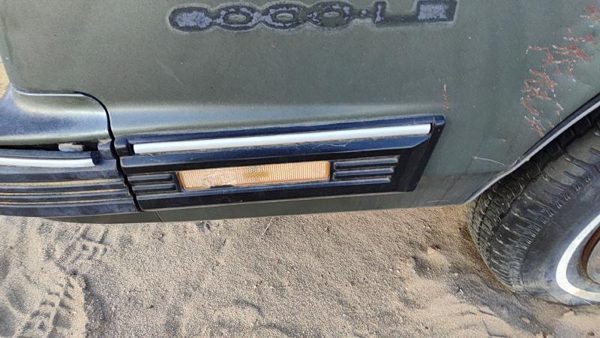 1982-1991 Pontiac 6000 Driver Left Moulding From Fender Oem Trim Strip — photo 1
