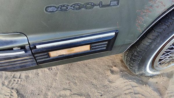 1982-1991 Pontiac 6000 Driver Left Moulding From Fender Oem Trim Strip — photo 3