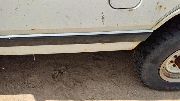 81-93 Dodge Ram W250 Driver Left Rear Moulding On Box Front Oem — photo 3