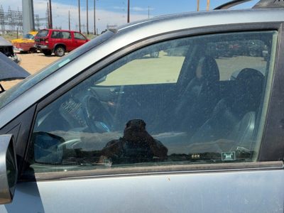 2001-2006 Acura Mdx Driver Left Front Side Window Door Glass Oem 73350S3Va00