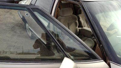 91-96 Park Ave Passenger Right Front Vent Window Small Door Glass With Frame Oem