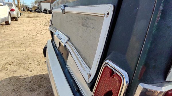 1984-1991 Jeep Grand Wagoneer Tail Gate Rear Drop Gate Oem Green 55018793 — photo 6
