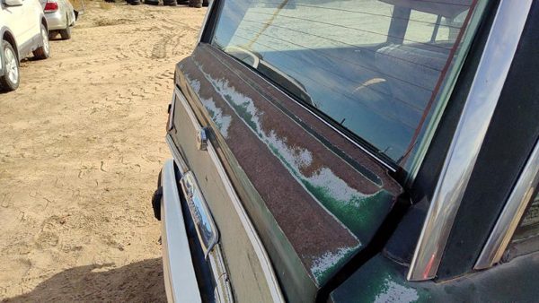 1984-1991 Jeep Grand Wagoneer Tail Gate Rear Drop Gate Oem Green 55018793 — photo 3
