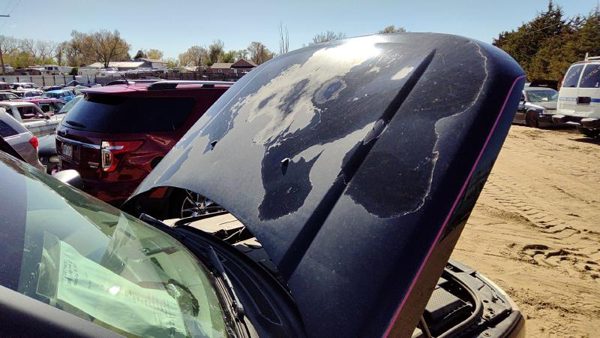 2006 Land Rover LR3 Hood Black — photo 4