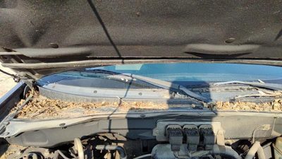2005-2006 Mazda Tribute Passenger Right Windshield Wiper Arm Oem Blade Lever