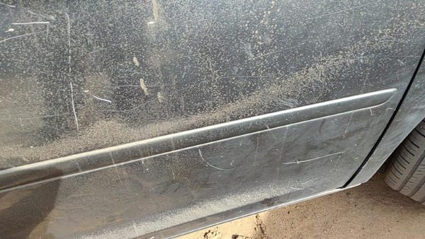 2005-2007 Honda Odyssey Passenger Right Front Moulding From Door Trim Strip Gray — photo 5