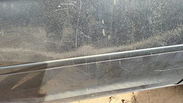 2005-2007 Honda Odyssey Passenger Right Front Moulding From Door Trim Strip Gray — photo 4