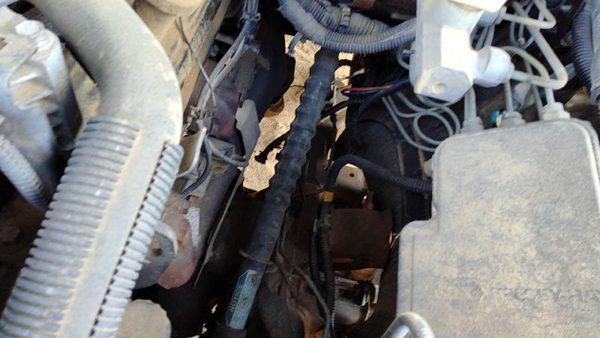 95-99 Chevy Suburban Lower Intermediate Steering Shaft Oem — photo 3