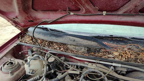 1993-2003 Ford Escort Passenger Right Windshield Wiper Arm Oem Blade Lever — photo 1