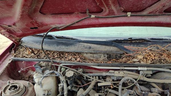 1993-2003 Ford Escort Passenger Right Windshield Wiper Arm Oem Blade Lever — photo 3