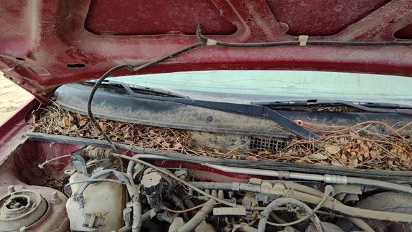 1993-2003 Ford Escort Passenger Right Windshield Wiper Arm Oem Blade Lever — photo 2