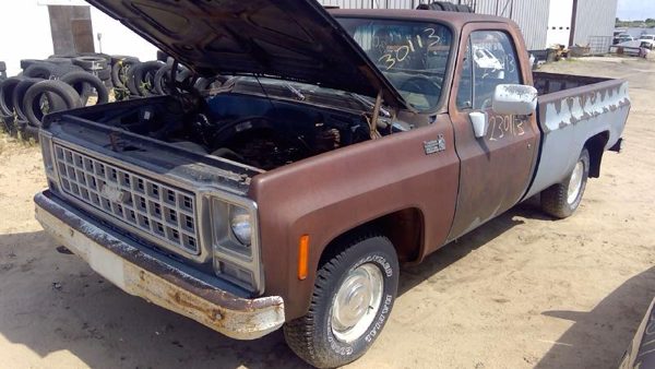 1980 Chevy Pickup 10 — vehicle photo 1