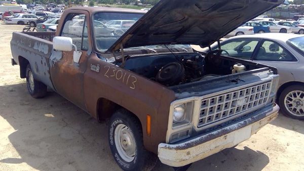1980 Chevy Pickup 10 — vehicle photo 6