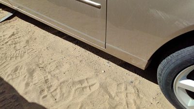 03-07 Cts Passenger Right Front Rocker Panel Moulding Side Skirt Sand Storm 61U