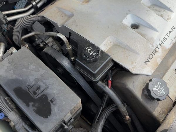 1998-2004 Cadillac Seville Power Steering Pump With Pulley Oem 4.6L 88955485 — photo 1
